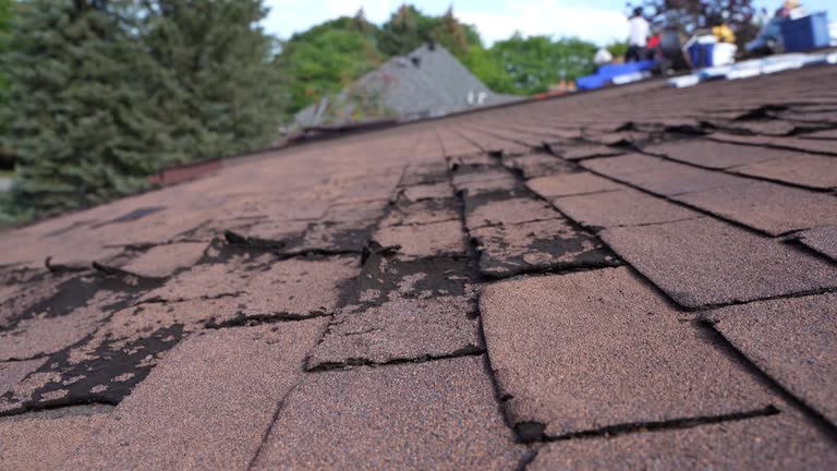  Point Clear, AL Roofing Service Pros