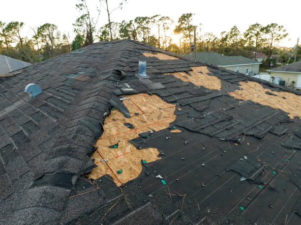 Best Tile Roofing Installation  in Point Clear, AL