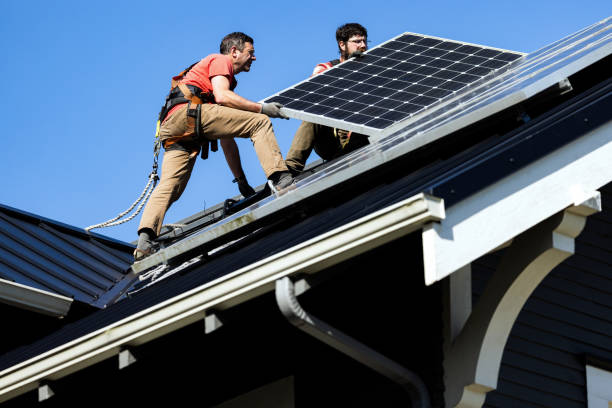 Best Roof Moss and Algae Removal  in Point Clear, AL